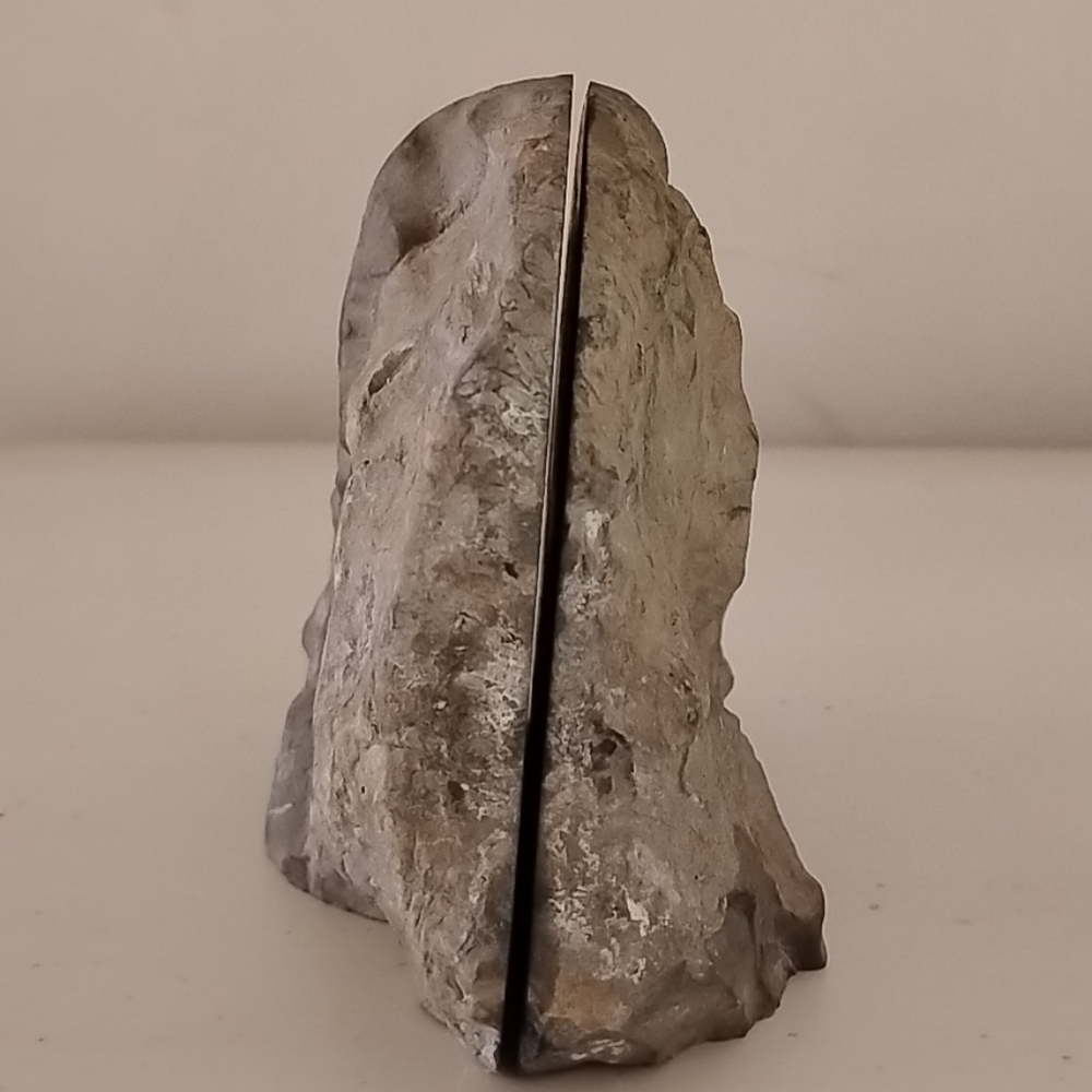 Ammonite Fossil Authentic Matched Pair Set Polished Natural Eco Decor Bookends - Picture 4 of 10